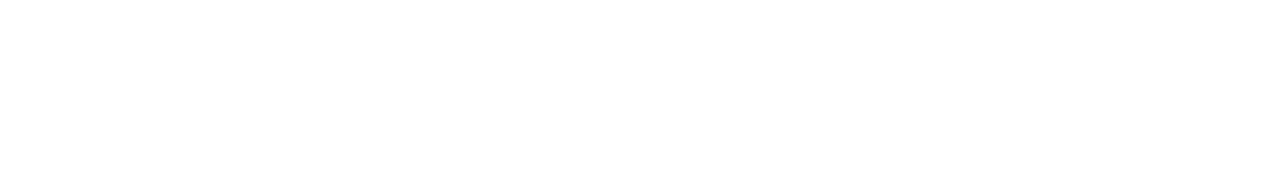 VersionVault